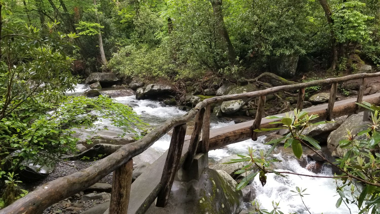 Porters Creek to Fern Falls 